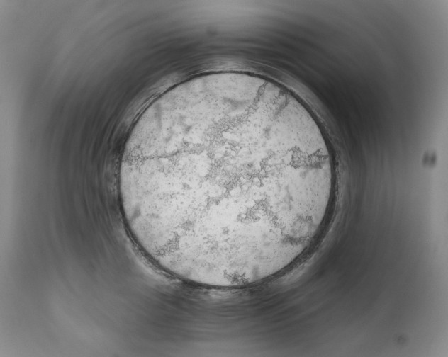 X0000111030857200907231619