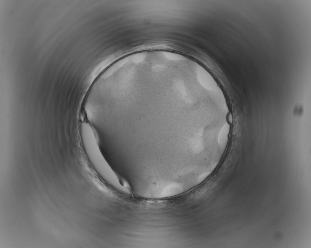 X0000111030858200907231619