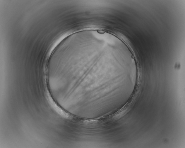 X0000111030859200907231619