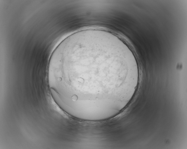 X0000111030860200907231619