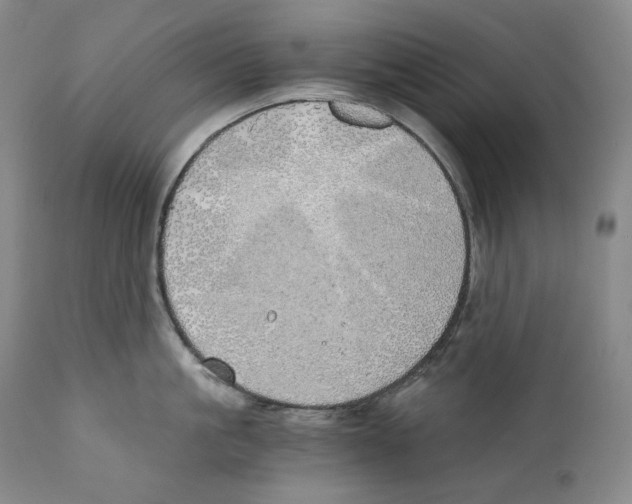 X0000111030861200907231619