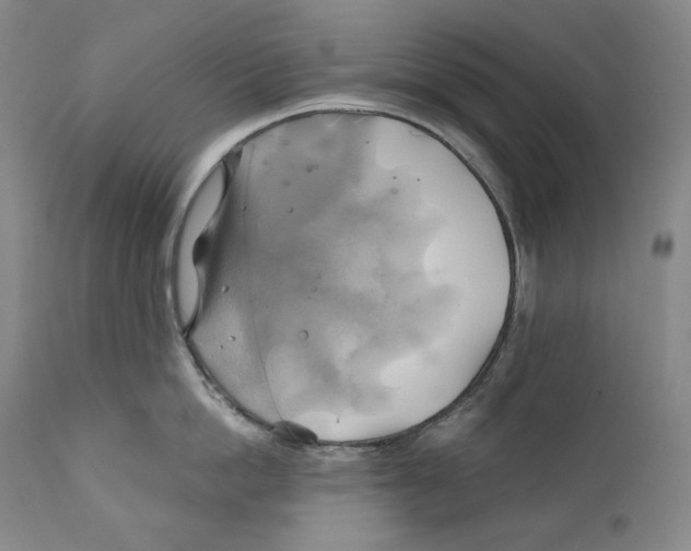 X0000111030862200907231619