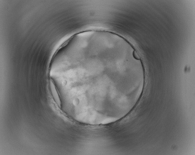 X0000111030864200907231619