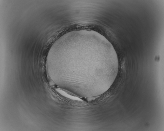 X0000111030868200907231618