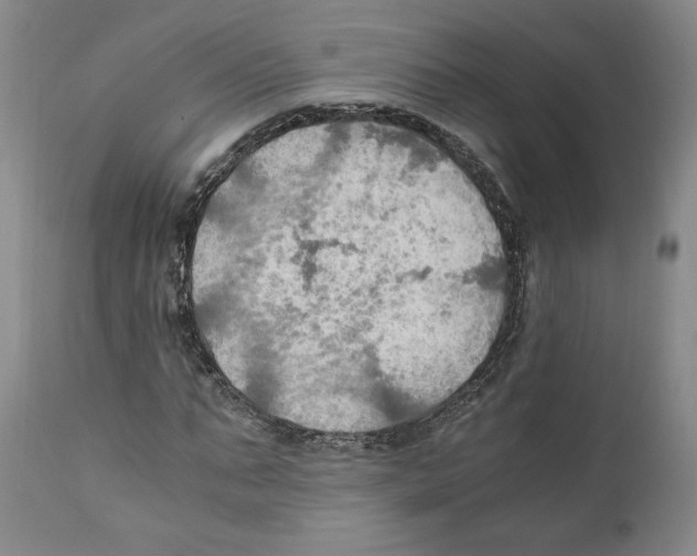 X0000111030871200907231618