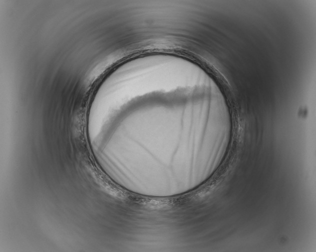 X0000111030874200907231618