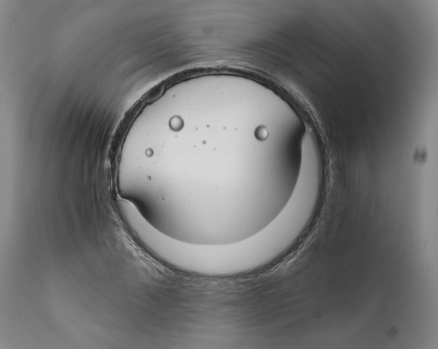 X0000111030876200907231618