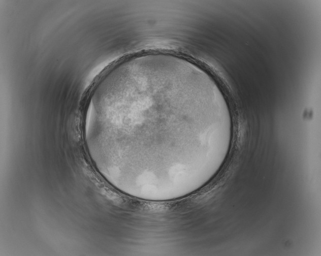 X0000111030878200907231618