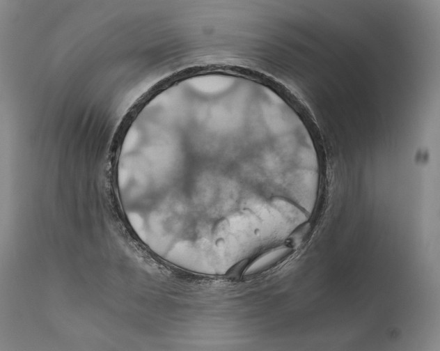 X0000111030879200907231618