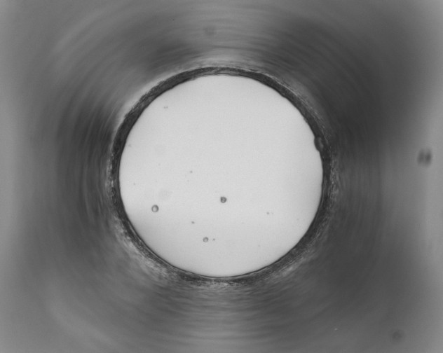 X0000111030880200907231618