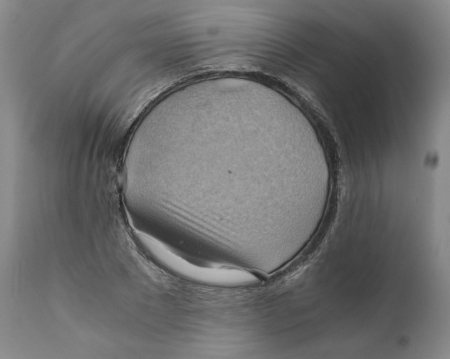 X0000111030881200907231618