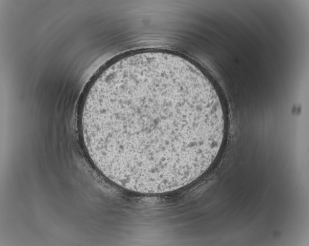 X0000111030883200907231618