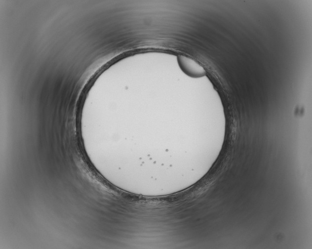 X0000111030884200907231618