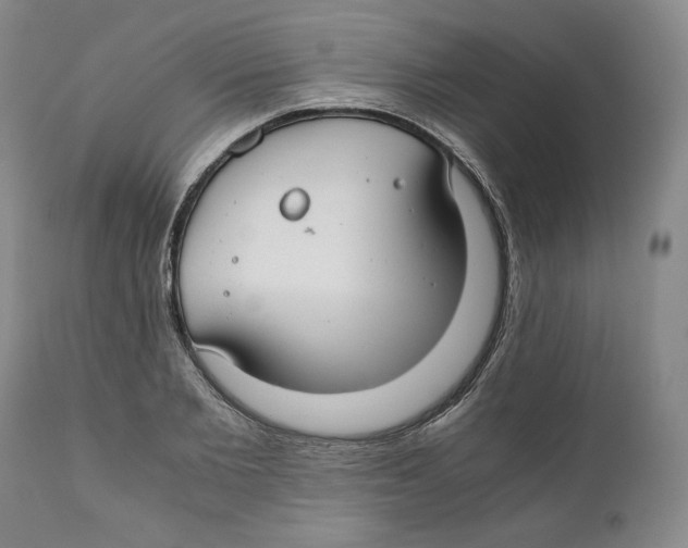 X0000111030885200907231618