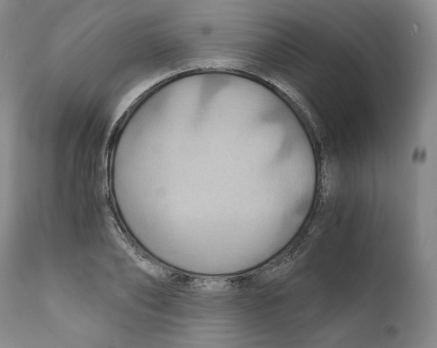 X0000111030886200907231618