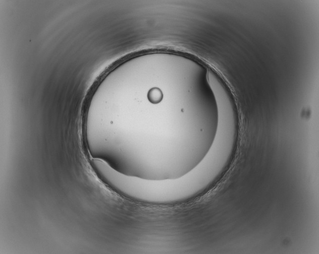 X0000111030888200907231618