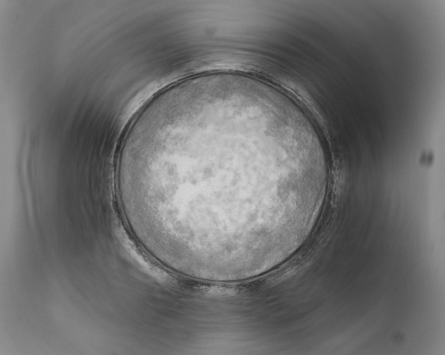 X0000111030890200907231618