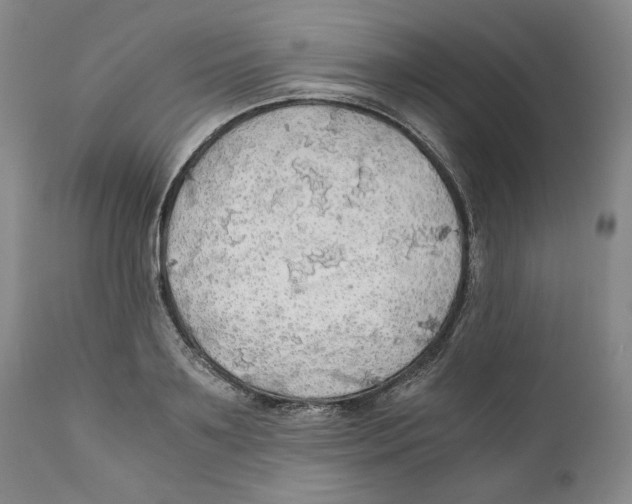 X0000111030891200907231618