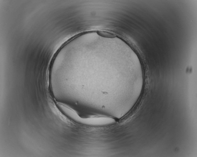 X0000111030892200907231618