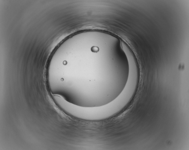 X0000111030893200907231618