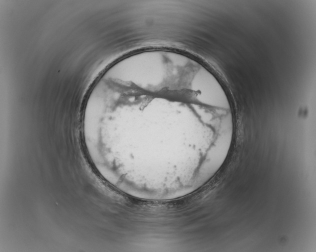 X0000111030895200907231618