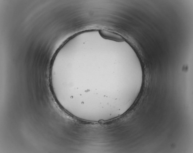 X0000111030896200907231618