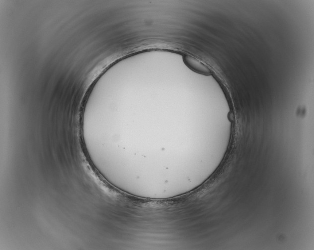 X0000111030898200907231618