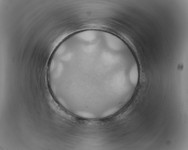 X0000111030899200907231618