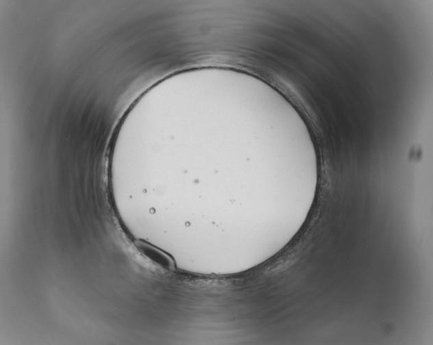 X0000111030900200907231618