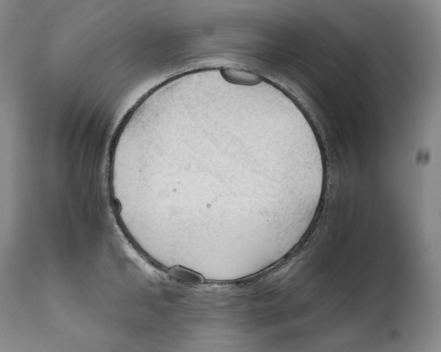 X0000111030902200907231618