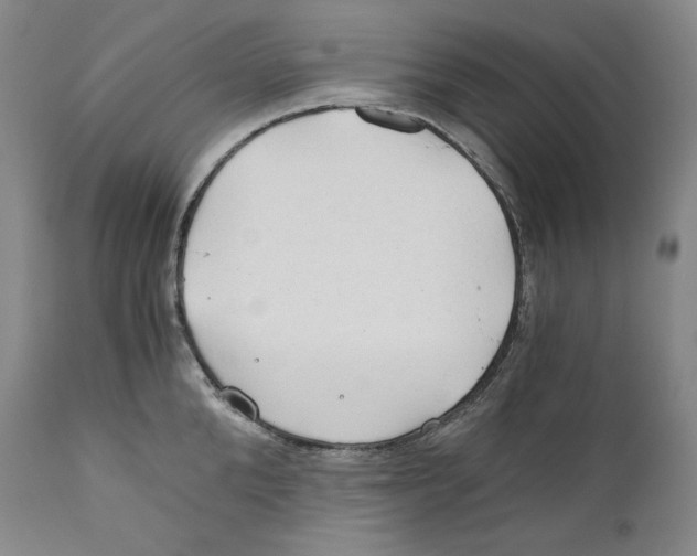 X0000111030904200907231618