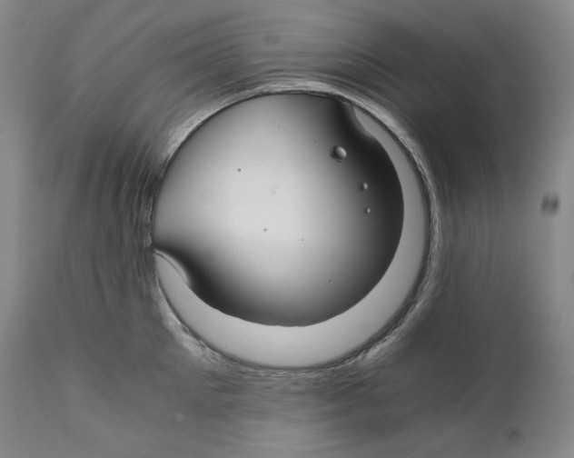 X0000111030905200907231618