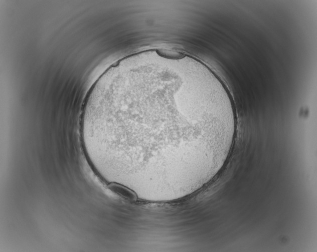 X0000111030906200907231618