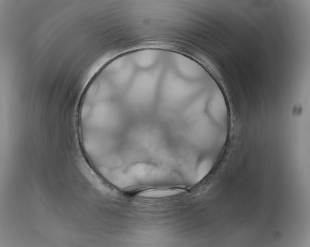 X0000111030907200907231618