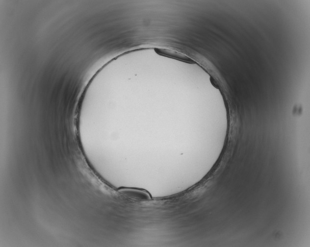 X0000111030908200907231618