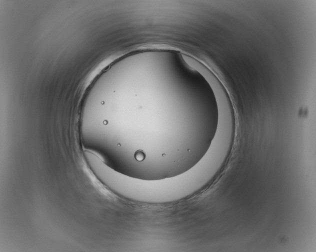 X0000111030909200907231617