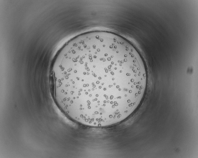 X0000111030910200907231617