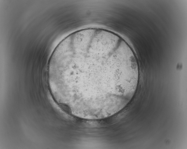 X0000111030911200907231617