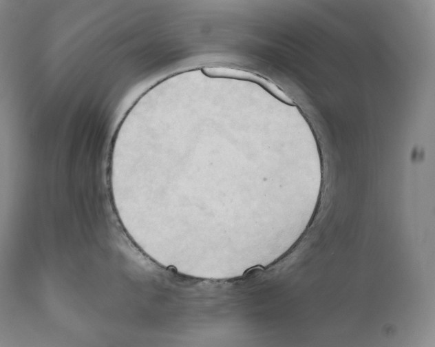 X0000111030912200907231617