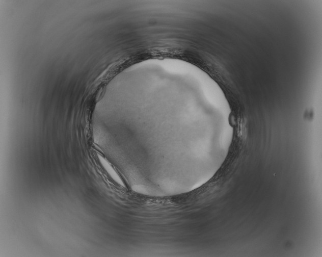 X0000111030915200907231617