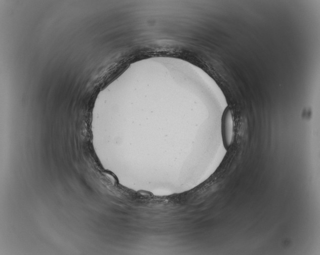 X0000111030916200907231617