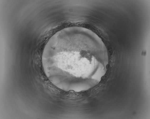 X0000111030917200907231617