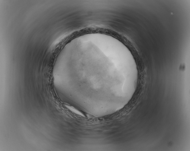 X0000111030919200907231617