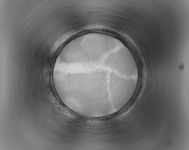 X0000111030921200907231617