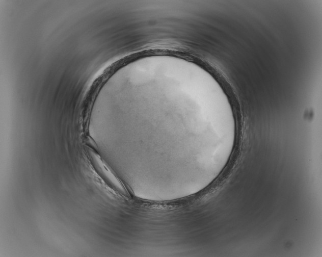 X0000111030923200907231617