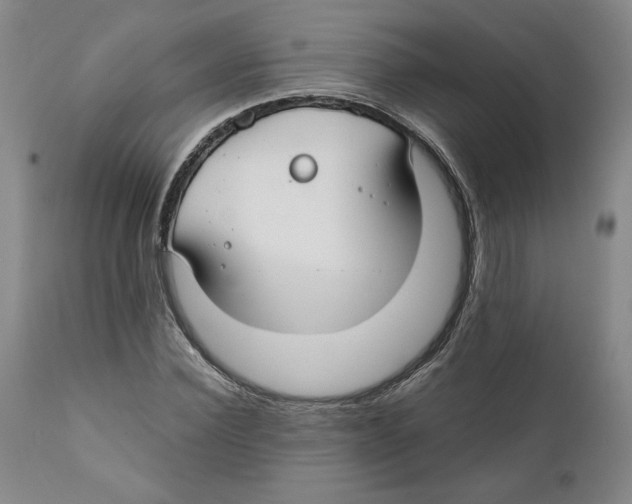 X0000111030924200907231617