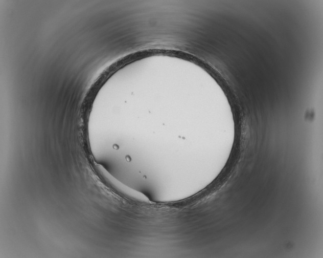 X0000111030926200907231617