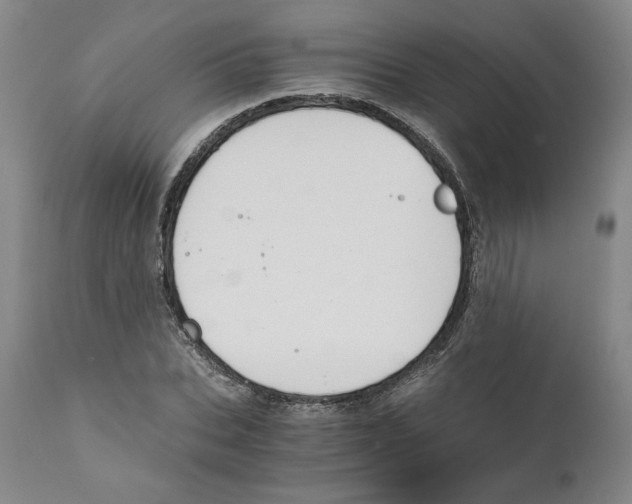 X0000111030927200907231617