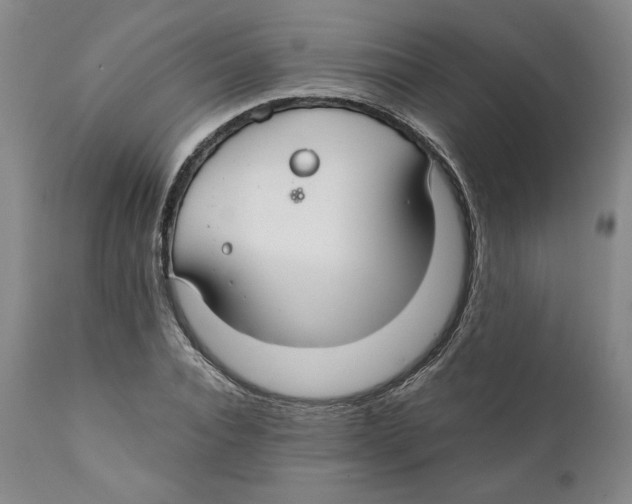 X0000111030928200907231617