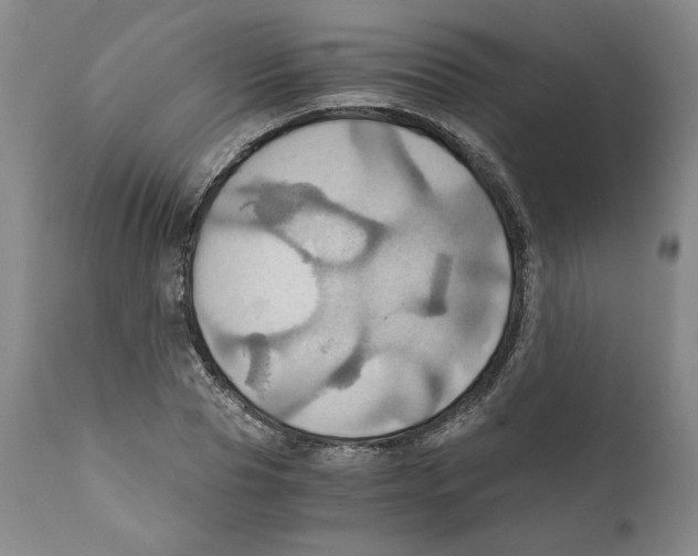 X0000111030929200907231617